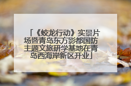 《蛟龙行动》实景片场暨青岛东方影都国防主题文旅研学基地在青岛西海岸新区开业
