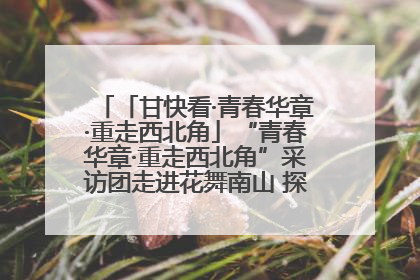 「甘快看·青春华章·重走西北角」“青春华章·重走西北角”采访团走进花舞南山 探寻天水乡村振兴之路