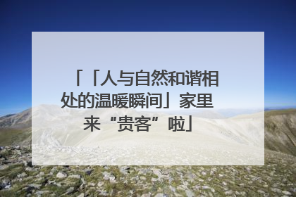 「人与自然和谐相处的温暖瞬间」家里来“贵客”啦
