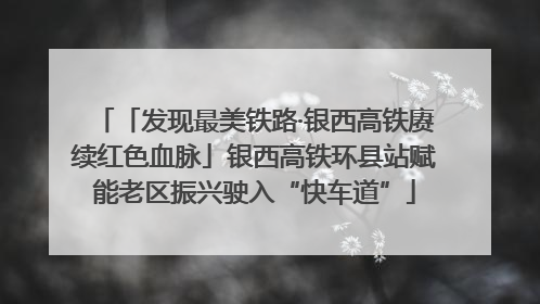 「发现最美铁路·银西高铁赓续红色血脉」银西高铁环县站赋能老区振兴驶入“快车道”