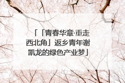 「青春华章·重走西北角」返乡青年谢凯龙的绿色产业梦