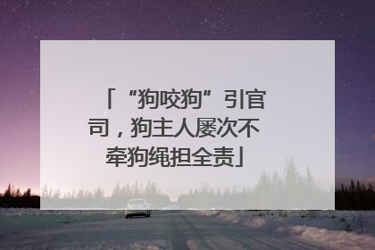 “狗咬狗”引官司，狗主人屡次不牵狗绳担全责
