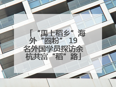 “禹上稻乡”海外“圈粉” 19名外国学员探访余杭共富“稻”路