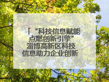 “科技信息赋能 点燃创新引擎” 淄博高新区科技信息助力企业创新发展培训会举办