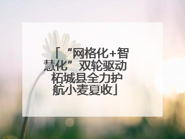 “网格化+智慧化”双轮驱动 柘城县全力护航小麦夏收