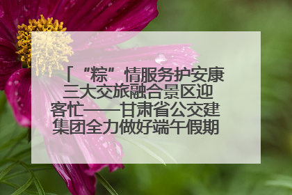 “粽”情服务护安康 三大交旅融合景区迎客忙——甘肃省公交建集团全力做好端午假期景区运营工作