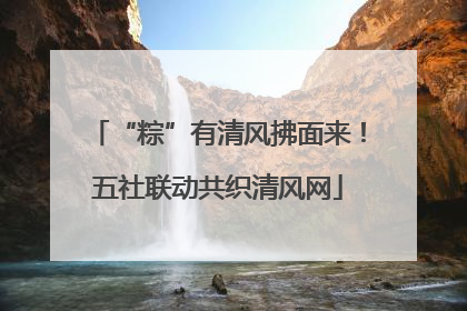“粽”有清风拂面来！五社联动共织清风网