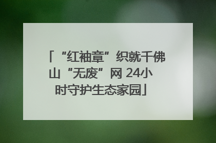 “红袖章”织就千佛山“无废”网 24小时守护生态家园
