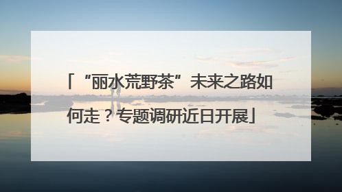“丽水荒野茶”未来之路如何走？专题调研近日开展