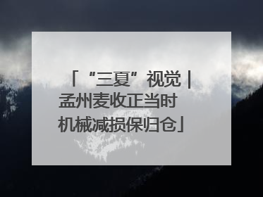“三夏”视觉｜孟州麦收正当时 机械减损保归仓