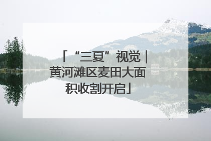 “三夏”视觉｜黄河滩区麦田大面积收割开启