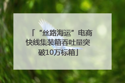 “丝路海运”电商快线集装箱吞吐量突破10万标箱