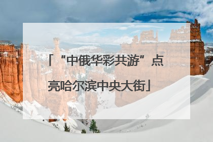 “中俄华彩共游”点亮哈尔滨中央大街