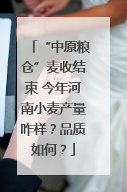 “中原粮仓”麦收结束 今年河南小麦产量咋样？品质如何？