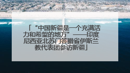 “中国新疆是一个充满活力和希望的地方”——印度尼西亚北苏门答腊省伊斯兰教代表团参访新疆