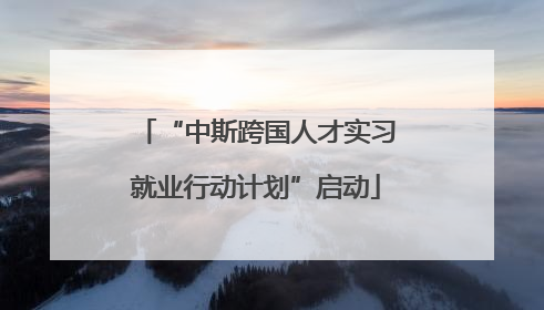 “中斯跨国人才实习就业行动计划”启动