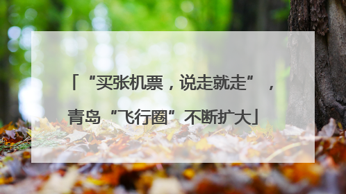 “买张机票，说走就走”，青岛“飞行圈”不断扩大