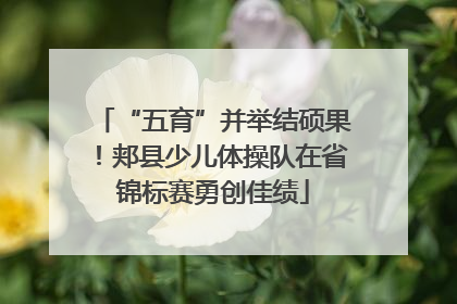 “五育”并举结硕果！郏县少儿体操队在省锦标赛勇创佳绩