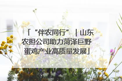 “伴农同行”｜山东农担公司助力菏泽巨野蛋鸡产业高质量发展
