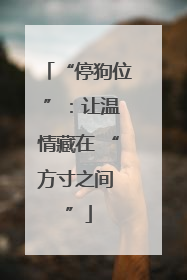 “停狗位 ”：让温情藏在 “方寸之间 ”