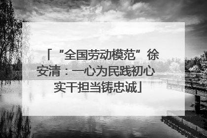 “全国劳动模范”徐安清：一心为民践初心 实干担当铸忠诚