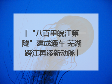 “八百里皖江第一隧”建成通车 芜湖跨江再添新动脉