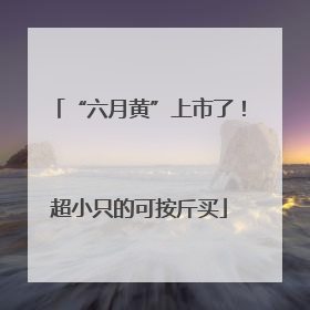 “六月黄”上市了！超小只的可按斤买