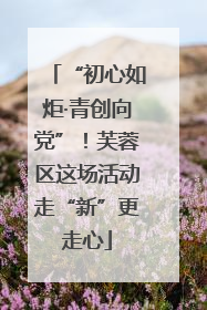 “初心如炬·青创向党”！芙蓉区这场活动走“新”更走心