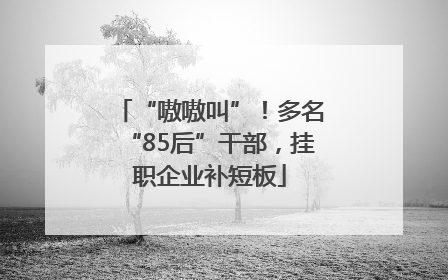 “嗷嗷叫”！多名“85后”干部，挂职企业补短板