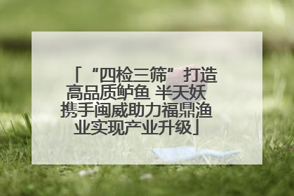 “四检三筛”打造高品质鲈鱼 半天妖携手闽威助力福鼎渔业实现产业升级