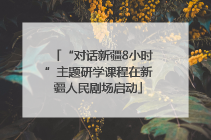 “对话新疆8小时”主题研学课程在新疆人民剧场启动