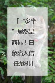“多半”居然是商标！白象陷入信任危机