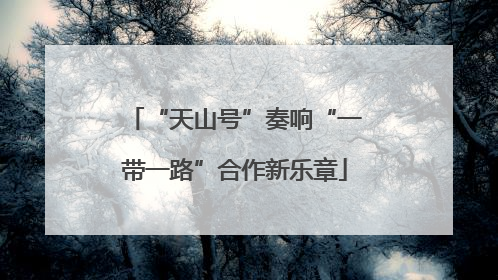 “天山号”奏响“一带一路”合作新乐章