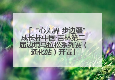 “心无界 步边疆”成长杯中国·吉林第二届边境马拉松系列赛（通化站）开赛