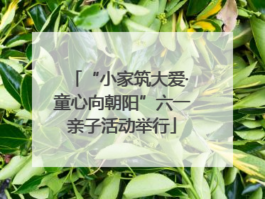 “小家筑大爱·童心向朝阳”六一亲子活动举行