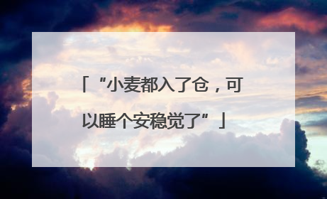 “小麦都入了仓，可以睡个安稳觉了”