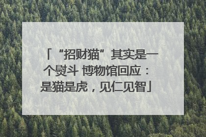 “招财猫”其实是一个熨斗 博物馆回应：是猫是虎，见仁见智