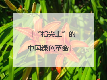 “指尖上”的中国绿色革命