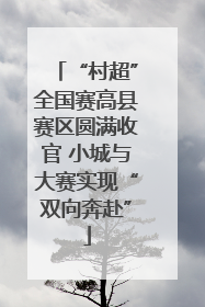 “村超”全国赛高县赛区圆满收官 小城与大赛实现“双向奔赴”