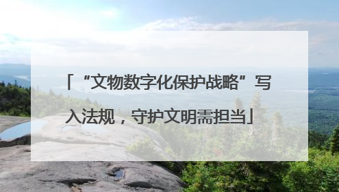 “文物数字化保护战略”写入法规，守护文明需担当