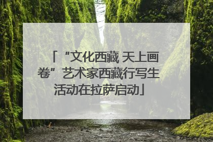 “文化西藏 天上画卷”艺术家西藏行写生活动在拉萨启动