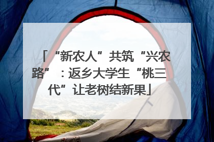 “新农人”共筑“兴农路”：返乡大学生“桃三代”让老树结新果