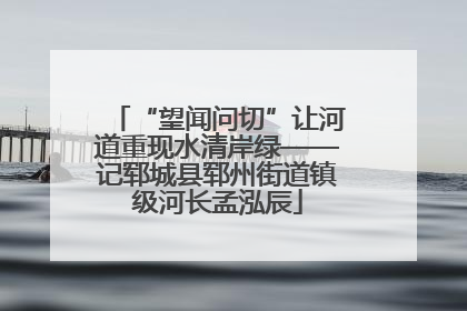 “望闻问切”让河道重现水清岸绿——记郓城县郓州街道镇级河长孟泓辰