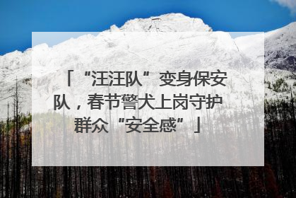 “汪汪队”变身保安队，春节警犬上岗守护群众“安全感”