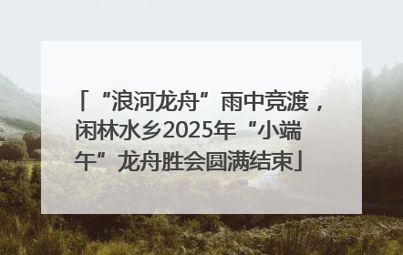 “浪河龙舟”雨中竞渡，闲林水乡2025年“小端午”龙舟胜会圆满结束