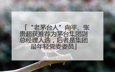 “老茅台人”向平、张贵超获推荐为茅台集团副总经理人选，后者是集团最年轻党委委员