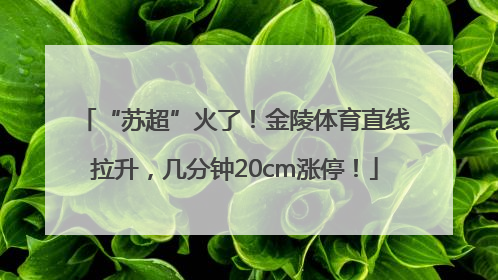 “苏超”火了！金陵体育直线拉升，几分钟20cm涨停！