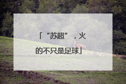 “苏超”，火的不只是足球