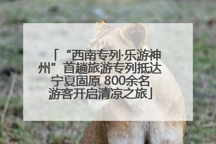 “西南专列·乐游神州”首趟旅游专列抵达宁夏固原 800余名游客开启清凉之旅
