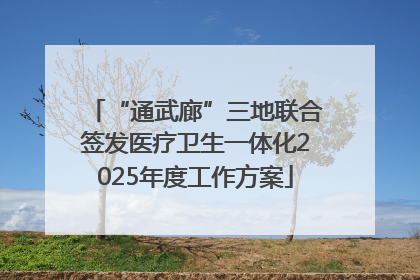 “通武廊”三地联合签发医疗卫生一体化2025年度工作方案